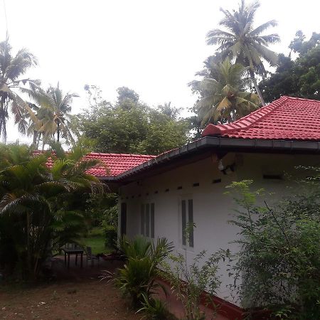 International Meditation Center Hotel Mirissa Buitenkant foto