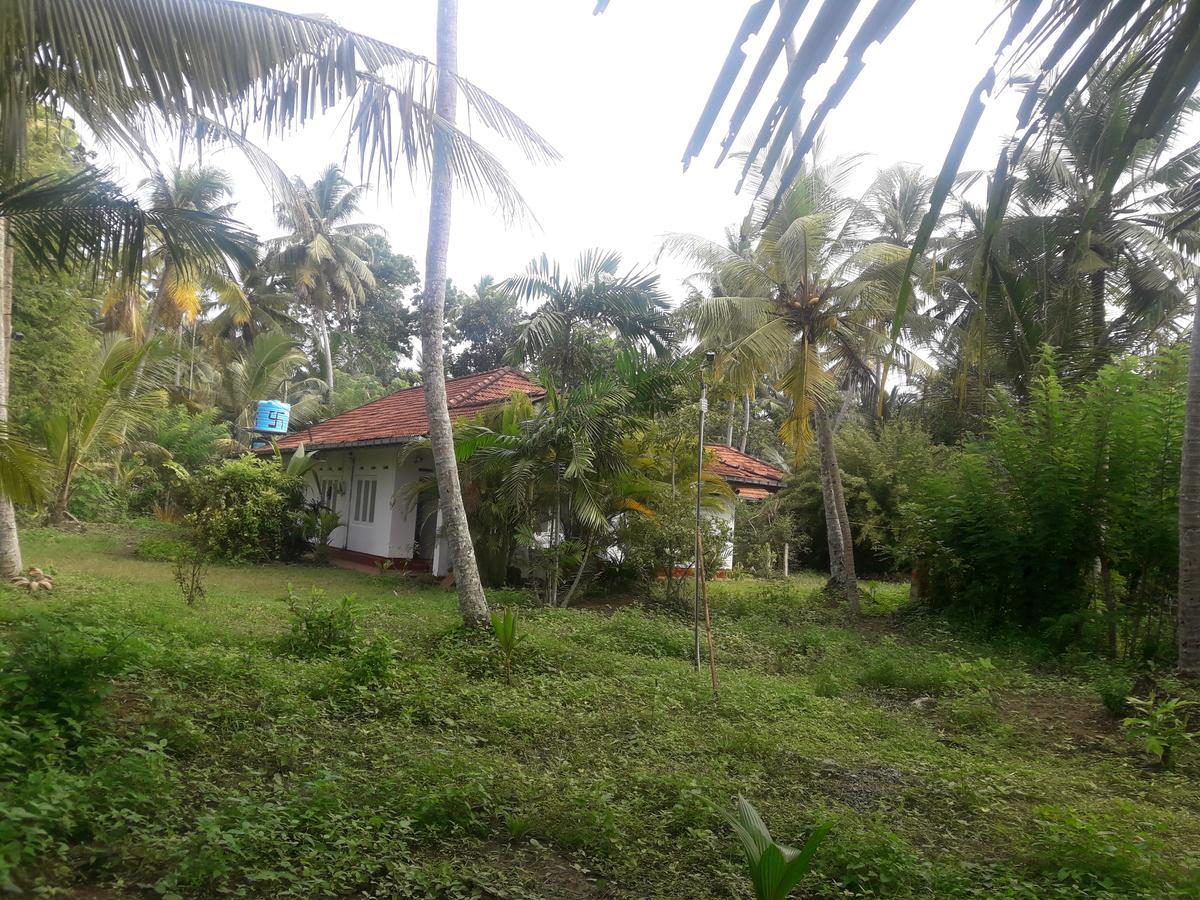 International Meditation Center Hotel Mirissa Buitenkant foto