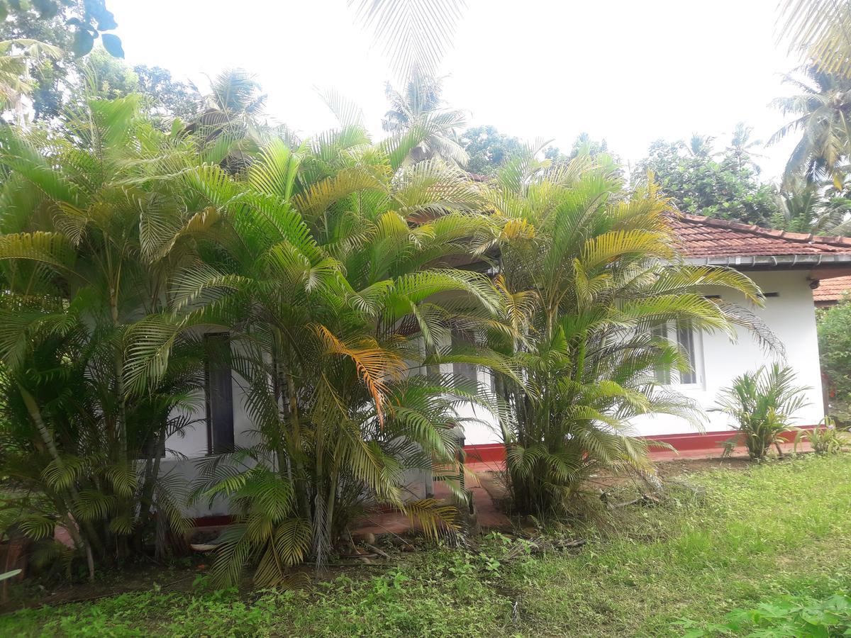 International Meditation Center Hotel Mirissa Buitenkant foto