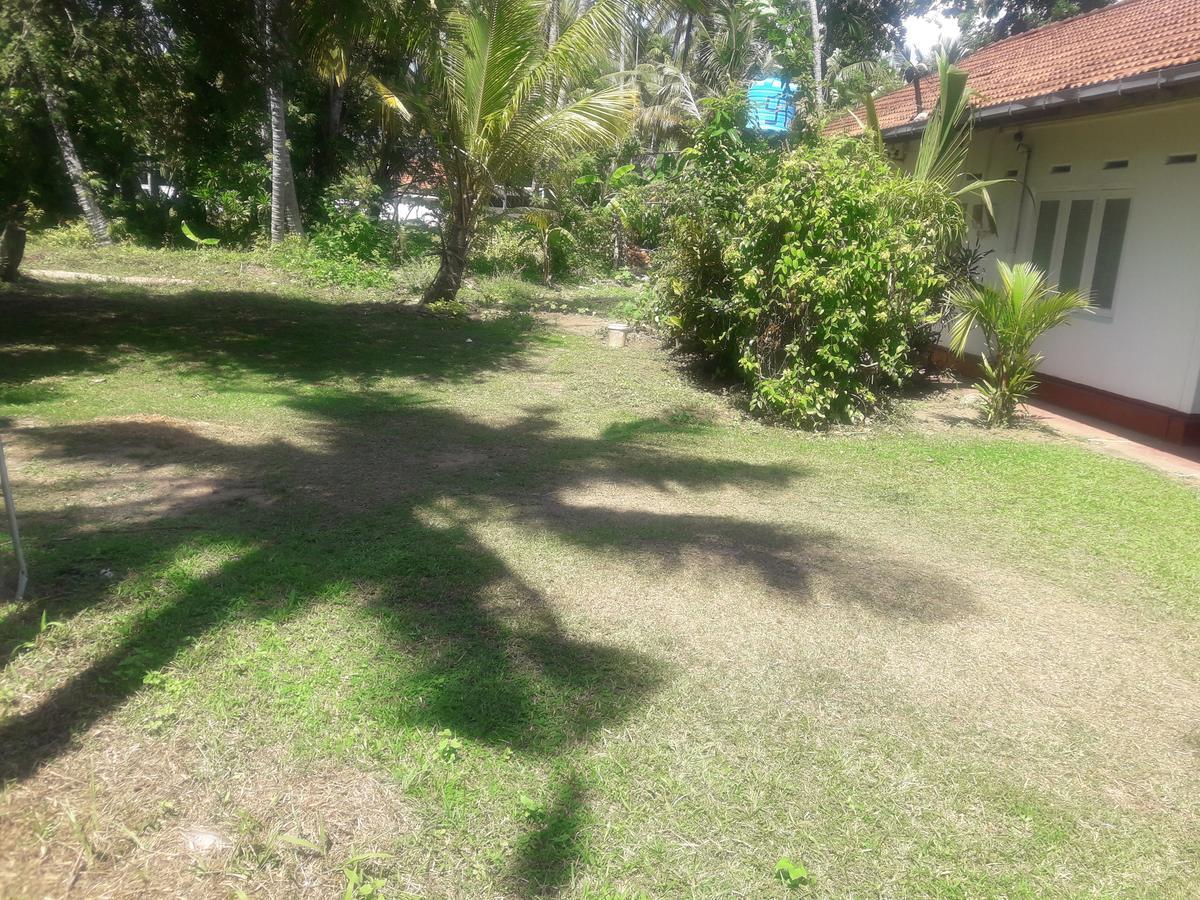 International Meditation Center Hotel Mirissa Buitenkant foto